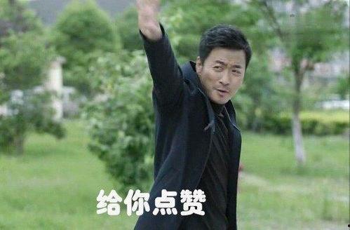 陈海动态表情包,捕捉生活瞬间，展现幽默魅力